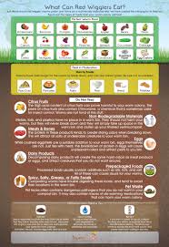 What Can Red Wiggler Worms Eat Infographic