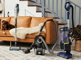 the 13 best vacuums of 2023 tested by