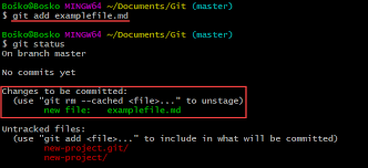 working with git bash commands