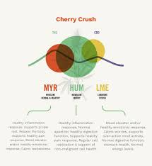 Cherry Crush Chart 2x Ascend Cannabis Co