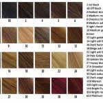 Shades Of Blonde Hair Color Chart Best Of Blonde Colour