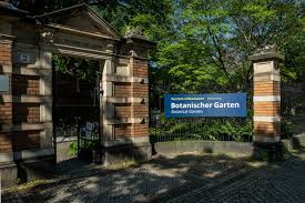 (redirected from botanischer garten dresden). Informationen Fur Besucher Botanischer Garten Tu Dresden