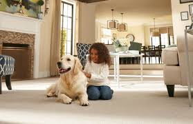 the best carpet for pets top pick