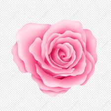 pink rose png images with transpa