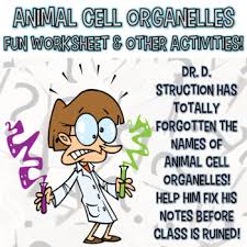 Plant cell worksheets superstar plant cell coloring worksheet printable pdf templateroller animal and plant cell coloring pages home 33 label and color the animal plant cells answers design ideas 2020 Animal Cell Coloring Answer Key Worksheets Teaching Resources Tpt