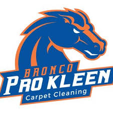 carpet cleaning in parker co