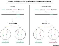 selective xi reactivation and