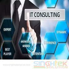 IT Business Consulting Services, IT Business Consulting Services - Singhtek  Infolution, Jaipur | ID: 21047827762