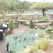 nurseries gardening near a303