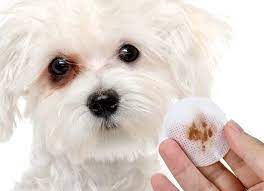 how to remove dog tear stains naturally