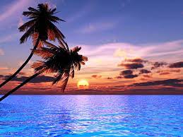 beautiful beach sunset beach coconut