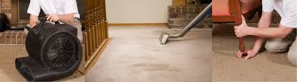 reviews herts pro carpet cleaning