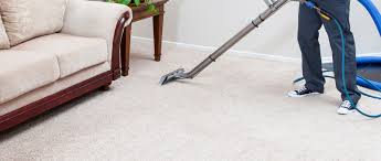 proficient carpet cleaning services