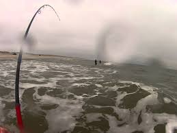 Image result for fishing from the beach nj