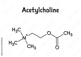 acetylcholine molecular structure