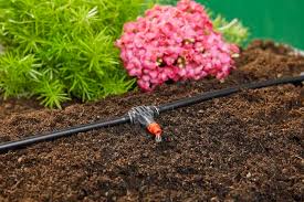Setting Up A Drip Irrigation System For
