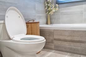 Canada S 6 Best Toilets For Your Home
