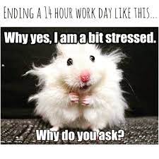 Boss funny memes about work stress. 45 Way Too Funny Work Stress Memes That Will Make You Go Same Fairygodboss