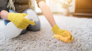 best carpet cleaning in florida