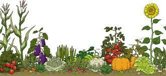 Vegetable Garden Cartoon Images