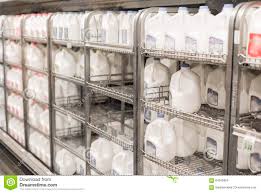 Shelves Full Of Gallons Of Milk In Store Stock Photo Image Of