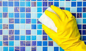 5 amazing diy borax cleaning tips