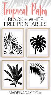 Tropical Palm Leaf Wall Art Printables