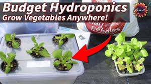 make a mini hydroponics system on a