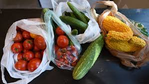 Tomatoes Zucchini Or Peppers