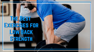 the best low back strength exercises
