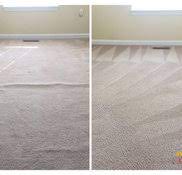 steamline carpet cleaning restoration