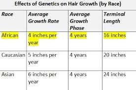Natural Hair Growth Length Chart Www Bedowntowndaytona Com