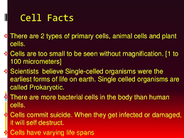Nerve cells, bone cells and liver cells, for example, all. Cells Power Point