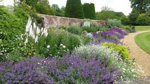 Herbaceous Borders Taylor Tripp