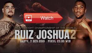 Leading up to the rematch between andy ruiz jr. Andy Ruiz Jr Vs Anthony Joshua Ii 13 Photos Sports Event