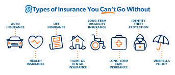 What Can You Insure gambar png