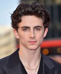 What do timothée chalamet, harry styles, young leo dicaprio and brendan fraser in the mummy have in common? Pin On Hair