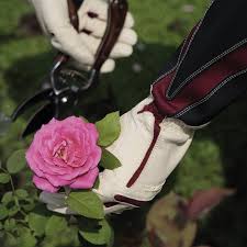 Bionic Rose Gauntlet Gloves Lady