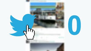 Before asking for help with twitter, we recommend that you review twitter's support site for info on their services. Twitter Bird Stock Video Footage 4k And Hd Video Clips Shutterstock