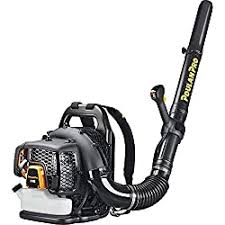 Too many acorns on a lawn or in a garden can have several adverse effects. Best Yard Vacuum For Acorns And Leaf Top 7 Reviews Of 2021