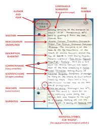 Best Nature journal ideas on Pinterest Modern drawings and A sample  expository essay