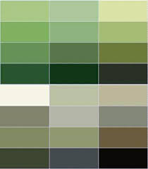 Wall Color Olive Green Relaxes The Senses And Fights Against