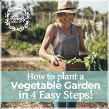 How To Plant A Vegetable Garden In Four