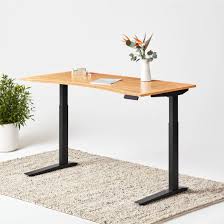 Jarvis Bamboo Standing Desk The 1