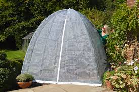 popadome 2m x 2m insect netting and bug