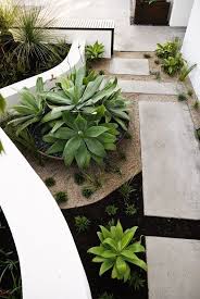 garden design modern landscaping