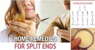 14 best home remes for split ends