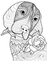 Printable coloring pages for kids and adults. 24 Free Pet Coloring Pages For Dog And Cat Owners Better Homes Gardens