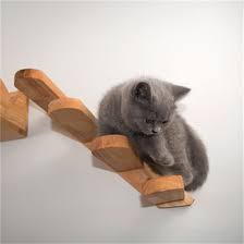 Wall Mounted Cat Climbing Ladder Wood