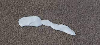 Remove Blu Tack From Carpet And Rugs